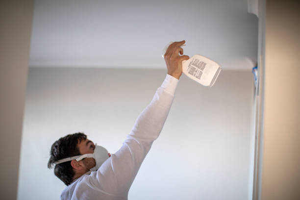 Mold Removal and Inspection in Rock Springs, NM