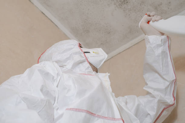 Water Damage Restoration in Rock Springs, NM