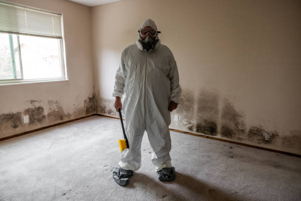 Best Crawl Space Mold Removal  in Rock Springs, NM